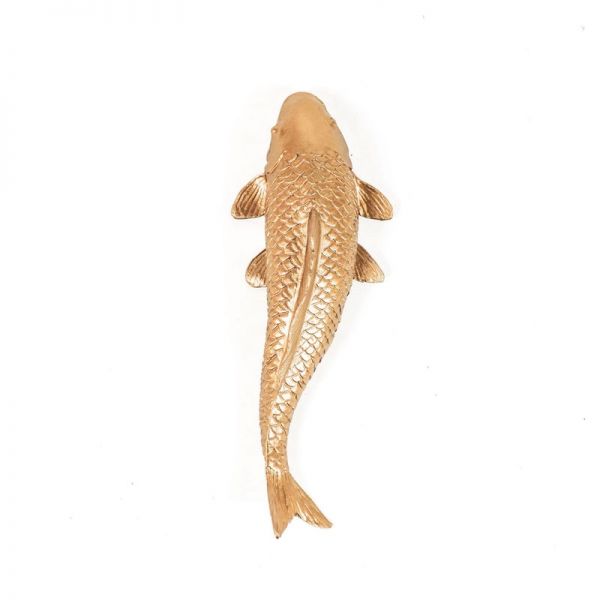 Goldkarpfenfisch Koi, gold