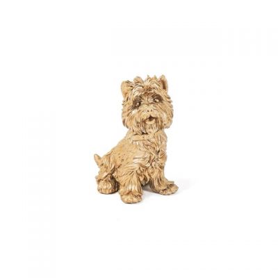 Hund Terrier Ted, gold