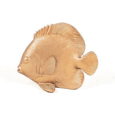 Goldplattfisch Flat Mate, gold
