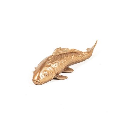 Goldkarpfenfisch Koi, gold